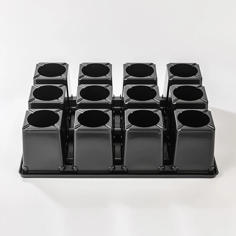 product-800-800